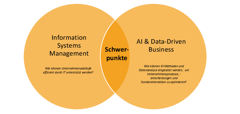 Studienschwerpunkte Wirtschaftsinformatik 