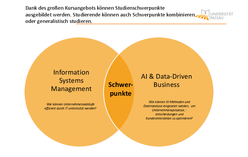 Studienschwerpunkte Wirtschaftsinformatik 